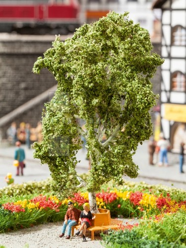 Noch 21642 albero - noch,