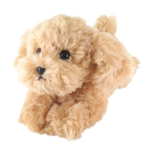 Peluche barboncino giocattolo - barboncino,
