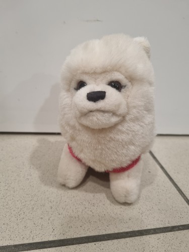 Peluche trudi cane bianco - peluche,
