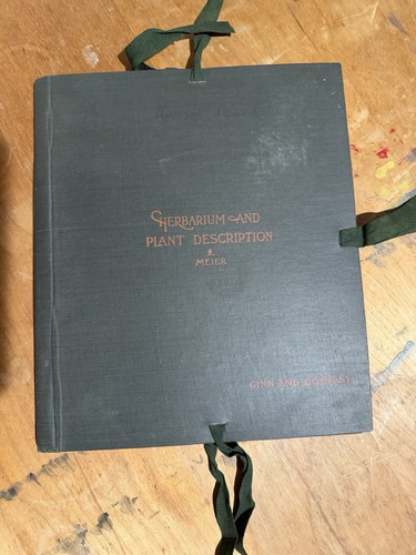 Herbarium and plant - herbarium,