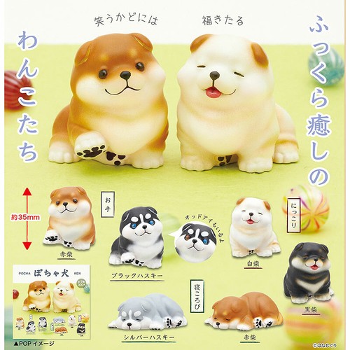 Pocha ken chubby puppy - ken,