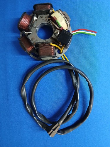 Statore zem fantic motor - statore,