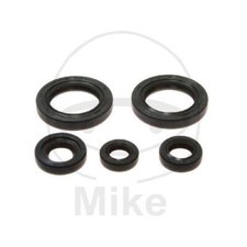 Athena Anelli di Tenuta Motore Set Guarnizioni P40 0270 400 060 P400270400060