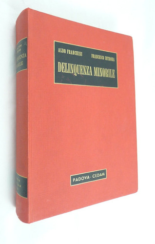 Delinquenza minorile padova - minorile,