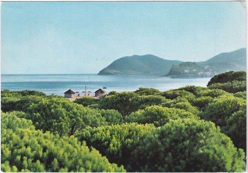 Marina campo isola d - di,