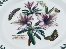 Grande Piatto Portmeirion