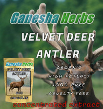 NUOVO VELVET DEER CORNA 30:1