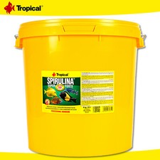 Tropical 21L Spirulina Super Forte 36% per Pesci Mangia Alghe