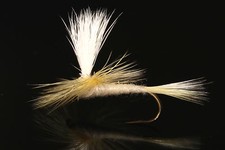 CAHILL PARACADUTE mosca