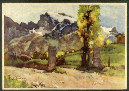 Limone piemonte cima - limone,