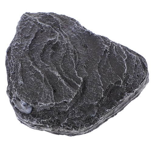 Rampa forno per - da, tartarughe