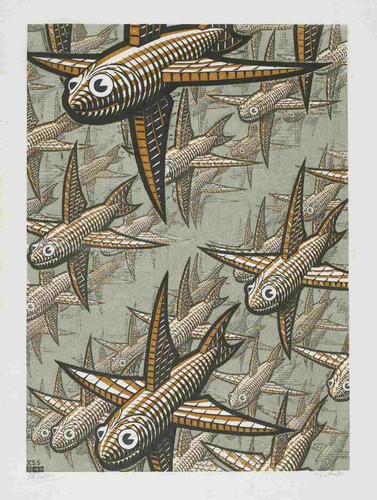 Escher profondità - m.,