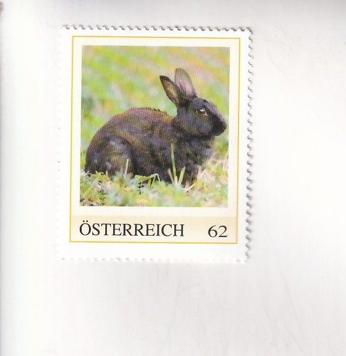 Francobollo austria - pm,
