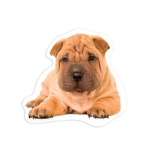 Adesivo regalo: fiori Sharpei
