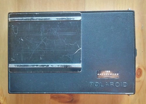 Pellicola posteriore