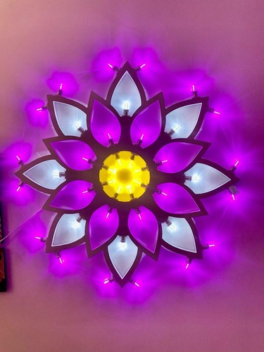 Luminaria salentina fiore - luminaria,