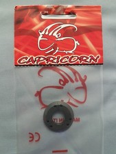 Capricorno RC Ricambi Auto 1/8