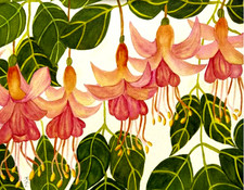 PITTURA ACQUERELLO 11X14 E