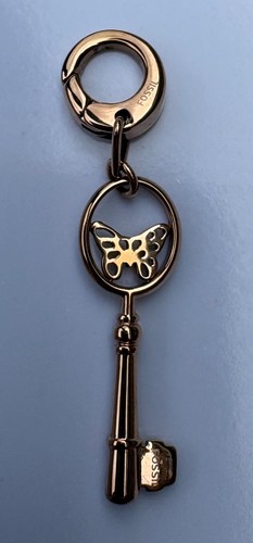 Charm fossil chiave con - charm, fossil,