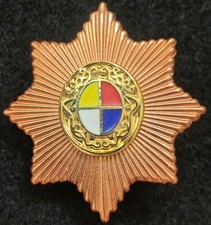 Distintivo berretto guardia