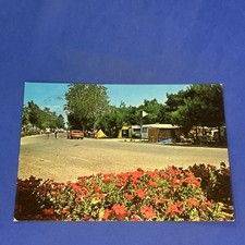 BIBIONE PINEDA CAMPING CAPALONGA - CARTOLINA A COLORI