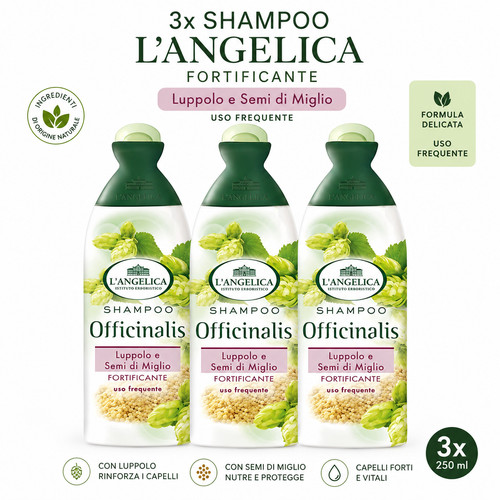 Shampoo angelica - 3x,