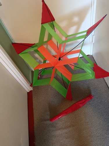 Lotus kite multicolore grande - lotus,