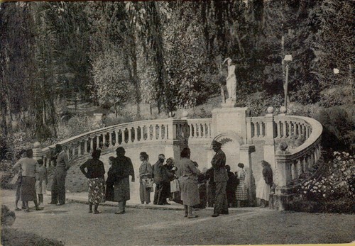 59315c cartolina fratta - cartolina,