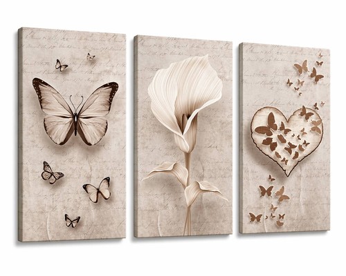 Set pezzi quadri tela - pezzi,