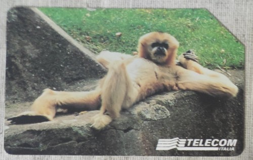 Scheda telefonica animali per