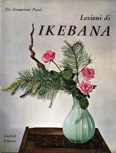 Lezioni ikebana evi - lezioni,