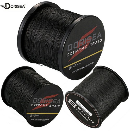 Dorisea pro fili - pro,