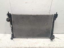 557041350 RADIATORE ACQUA