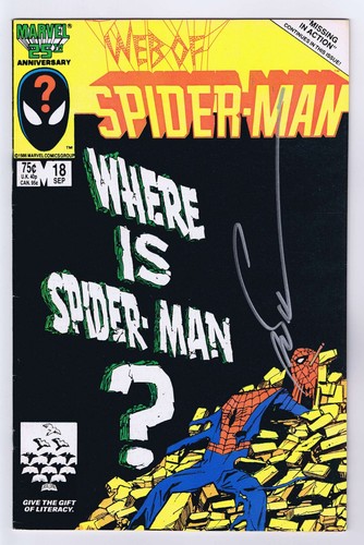 Web spider man - web, of