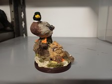 The Bird Collection - Il