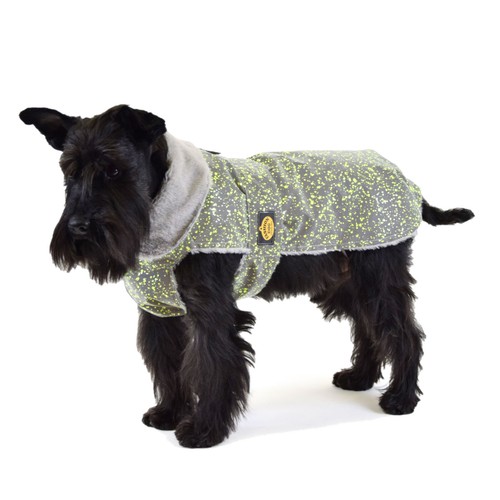Fashion dog riflettente - fashion,