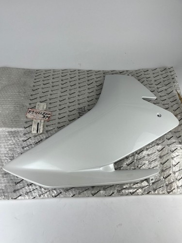 Aprilia rsv4 1000 carena - aprilia,