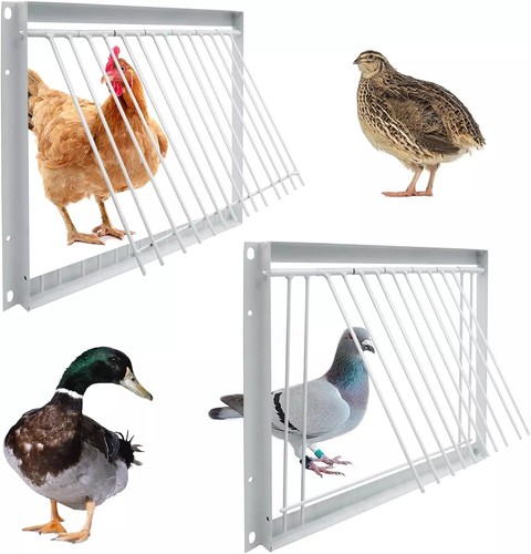 Porta gabbia per piccioni - , 11,8