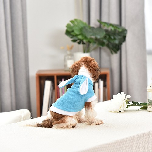 Giubbino cane abbigliamento - giubbino,
