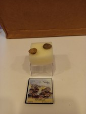 Fossili Di Esacorallo Fossil