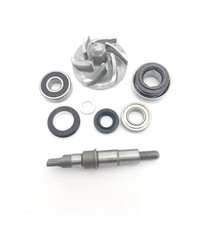 Water Pump Assy for Bashan 200cc BS200S-7 250cc BS250S-11 ATV Quad 200 250