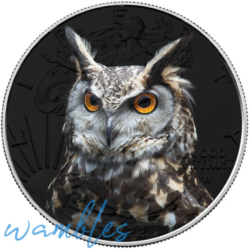 Gorgeous owl american silver - owl,
