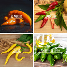 Mix Semi Peperoncino - Set di