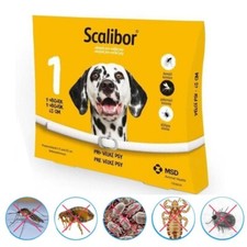 SCALIBOR 65 cm Collare