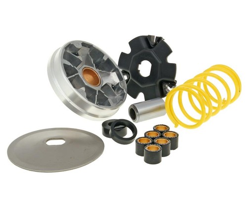 Variatore sportivo piaggio - variatore,