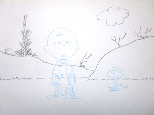 Peanuts charlie brown charles - brown,