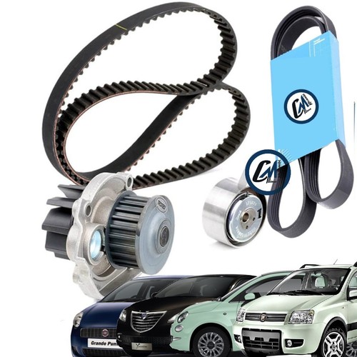 Kit distribuzione pompa acqua - kit,