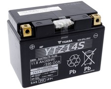 Batteria Moto Yuasa YTZ14S