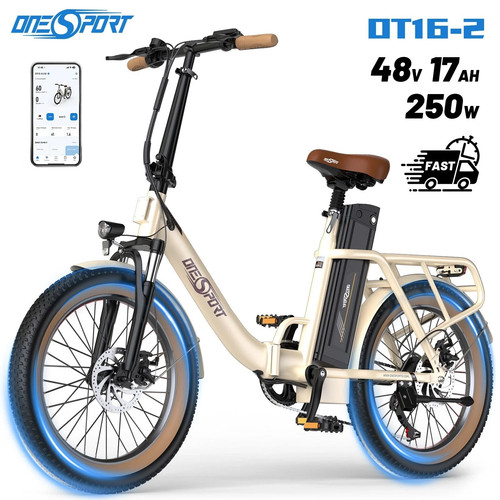 Bicicletta elettrica