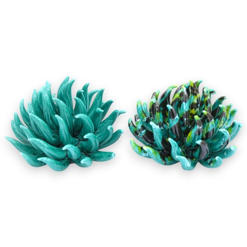 Anemone mare appoggio - anemone,